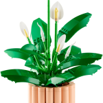Peace Lily