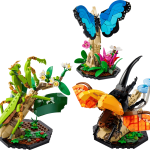 The Insect Collection