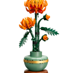 Chrysanthemum