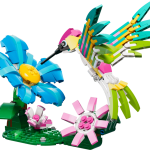 Colourful Hummingbird