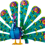 Exotic Peacock