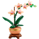 Mini Orchid