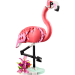 Pink Flamingo