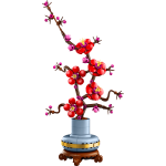 Plum Blossom