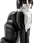 Tuxedo Cat